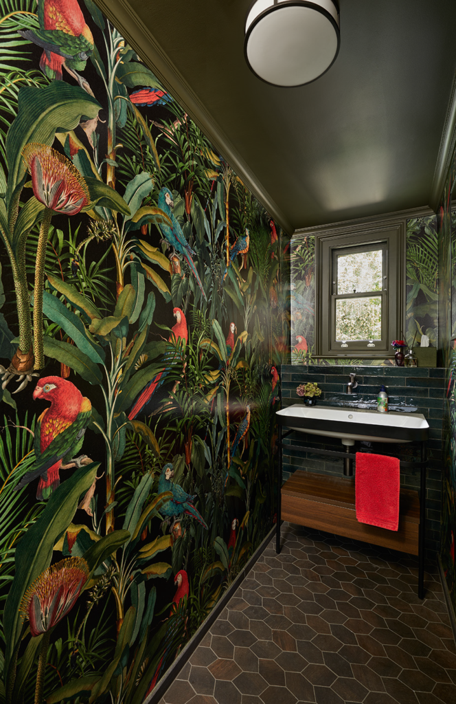 Guest Cloakroom Parrot Wallpaper
