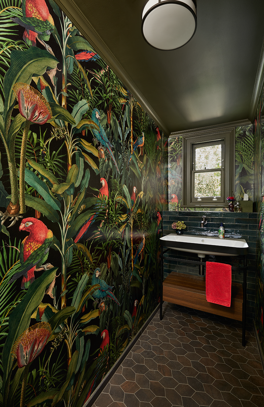 Guest cloakroom with bold parrot wallpaper