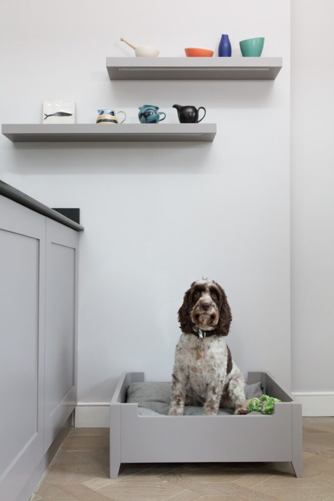 A kitchen with a matching dog bed and floating shelves